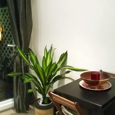 Apartment Luky *